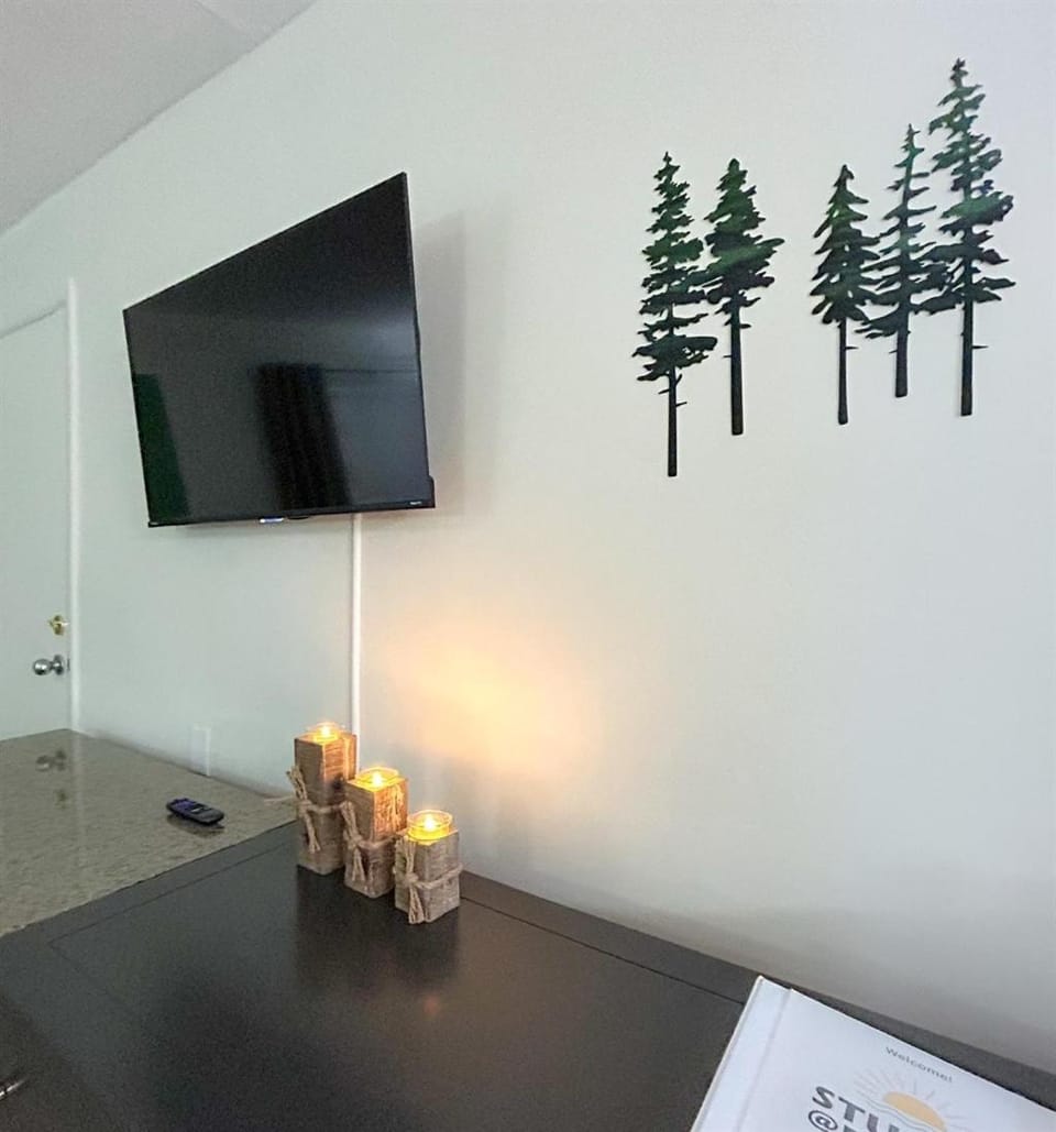 Boutique Studio with Jetted Tub Walk to Town Unit 401 Apartment in Eureka Springs