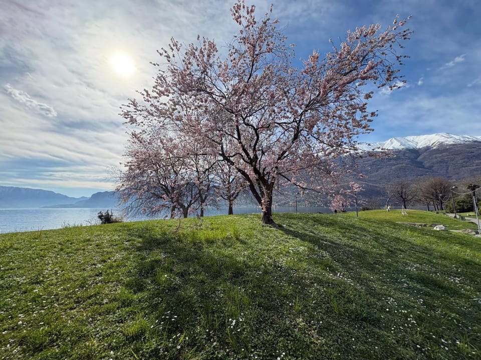 CASA QUANZITO -Casa intera con giardino e parcheggio privato, ideale per famiglie House in Province of Lecco