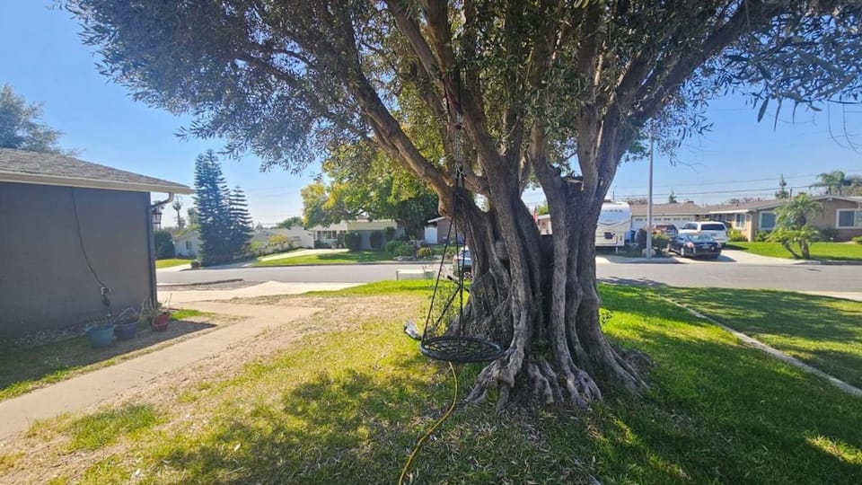 World Cup Stay - Private Home & Pool near Disney House in La Mirada