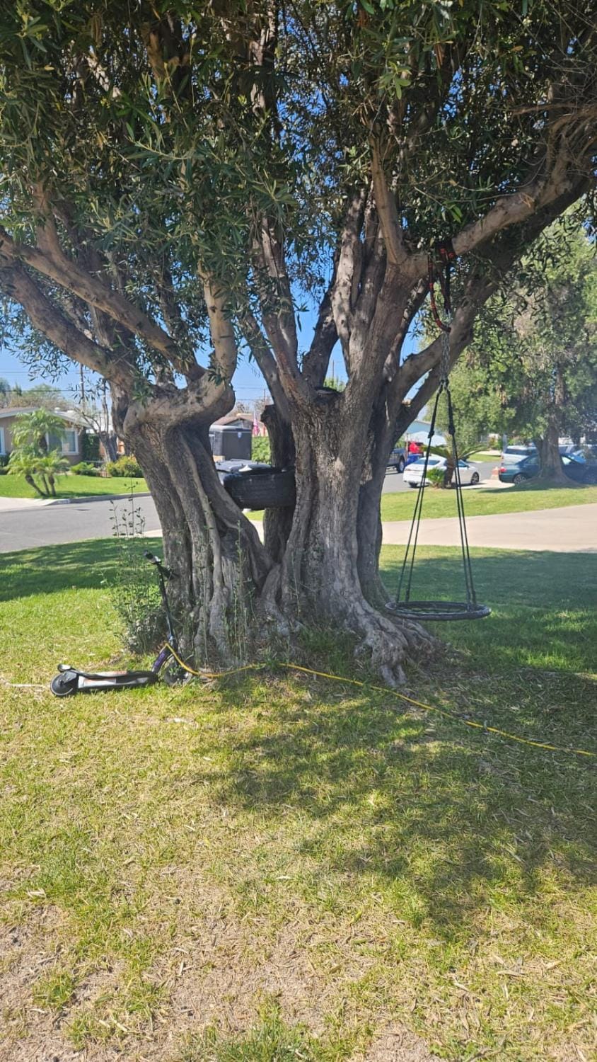 World Cup Stay - Private Home & Pool near Disney House in La Mirada