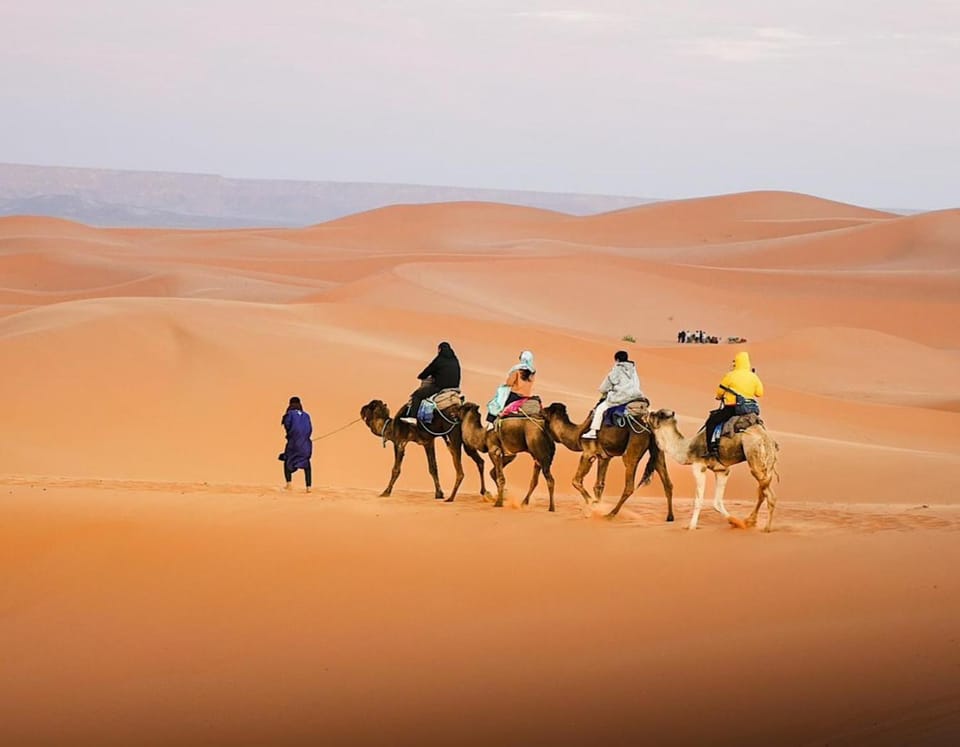 Day, People, Natural landscape, Horse-riding, Animals, group of guests