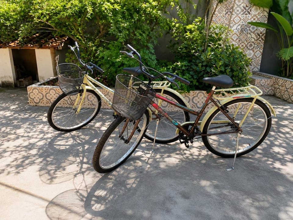 Day, Cycling