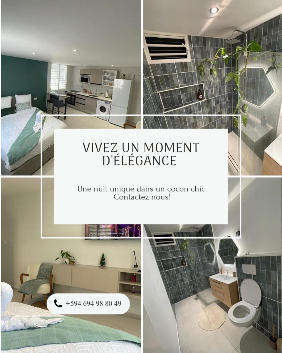 Studio Élégance Apartment in Cayenne