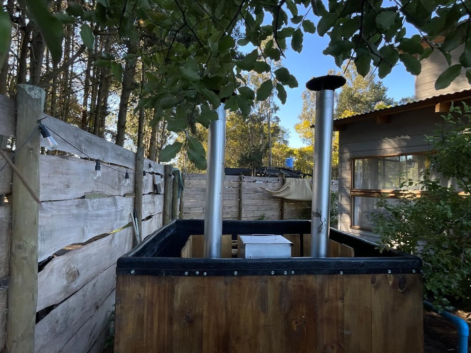 Day, Garden, Hot Tub