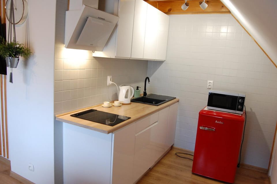 Kitchen or kitchenette, oven