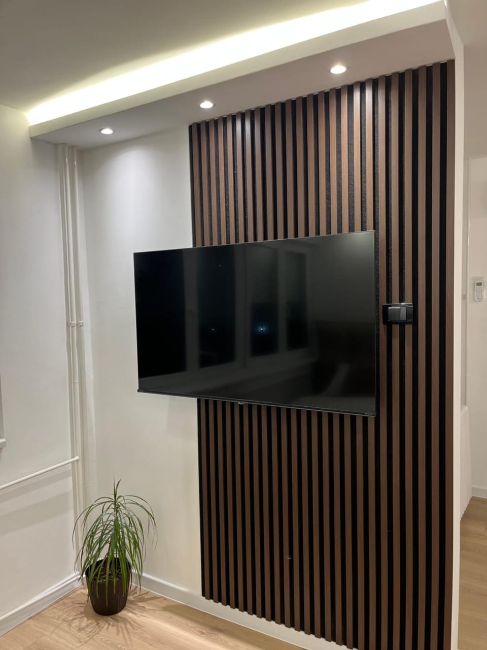 TV and multimedia