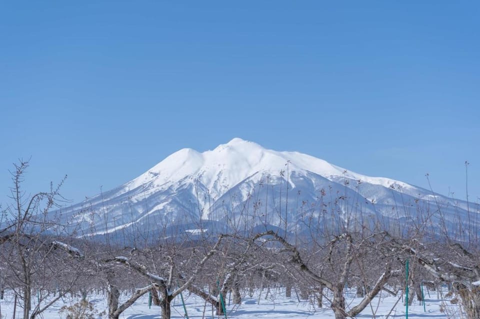 フラワーガーデンミミ お花屋が営む一棟貸し宿 Bed and Breakfast in Japan