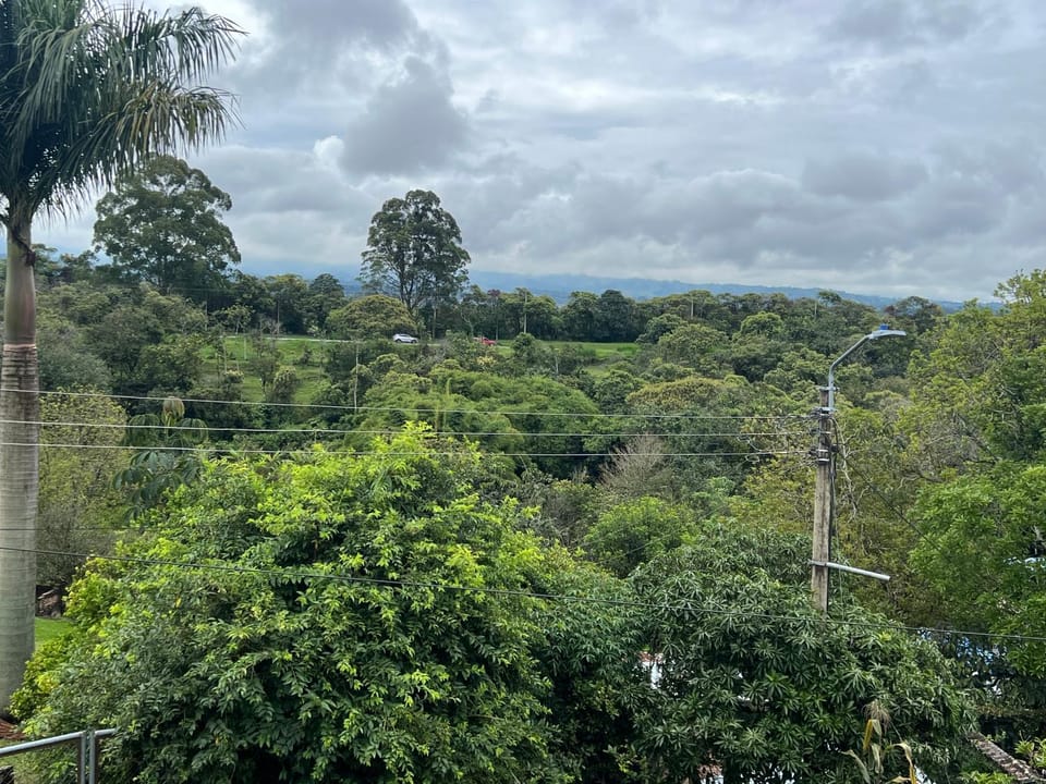 View (from property/room)