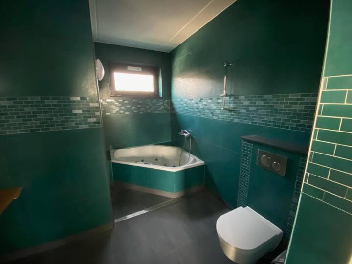 Vakantie appartement Spiegelwaal Nijmegen Lent Apartment in Nijmegen