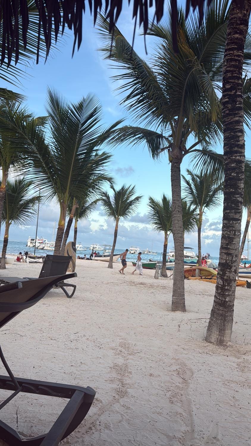Day, Natural landscape, Beach, Sea view, sunbed