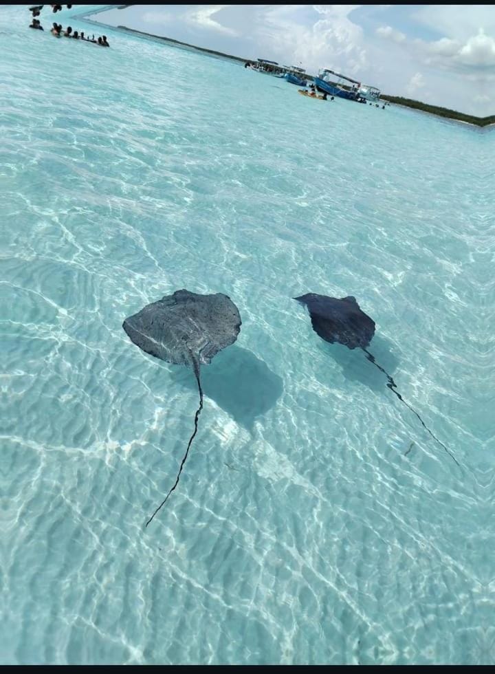 Nomad Tulum Hotel in State of Quintana Roo
