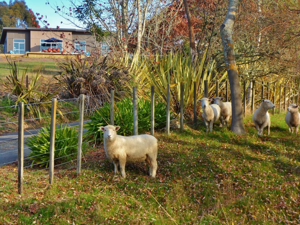 Property building, Garden view