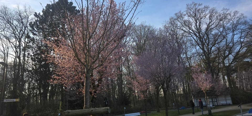 Pistazien-Grün & Land Liebe Apartment in Lippstadt