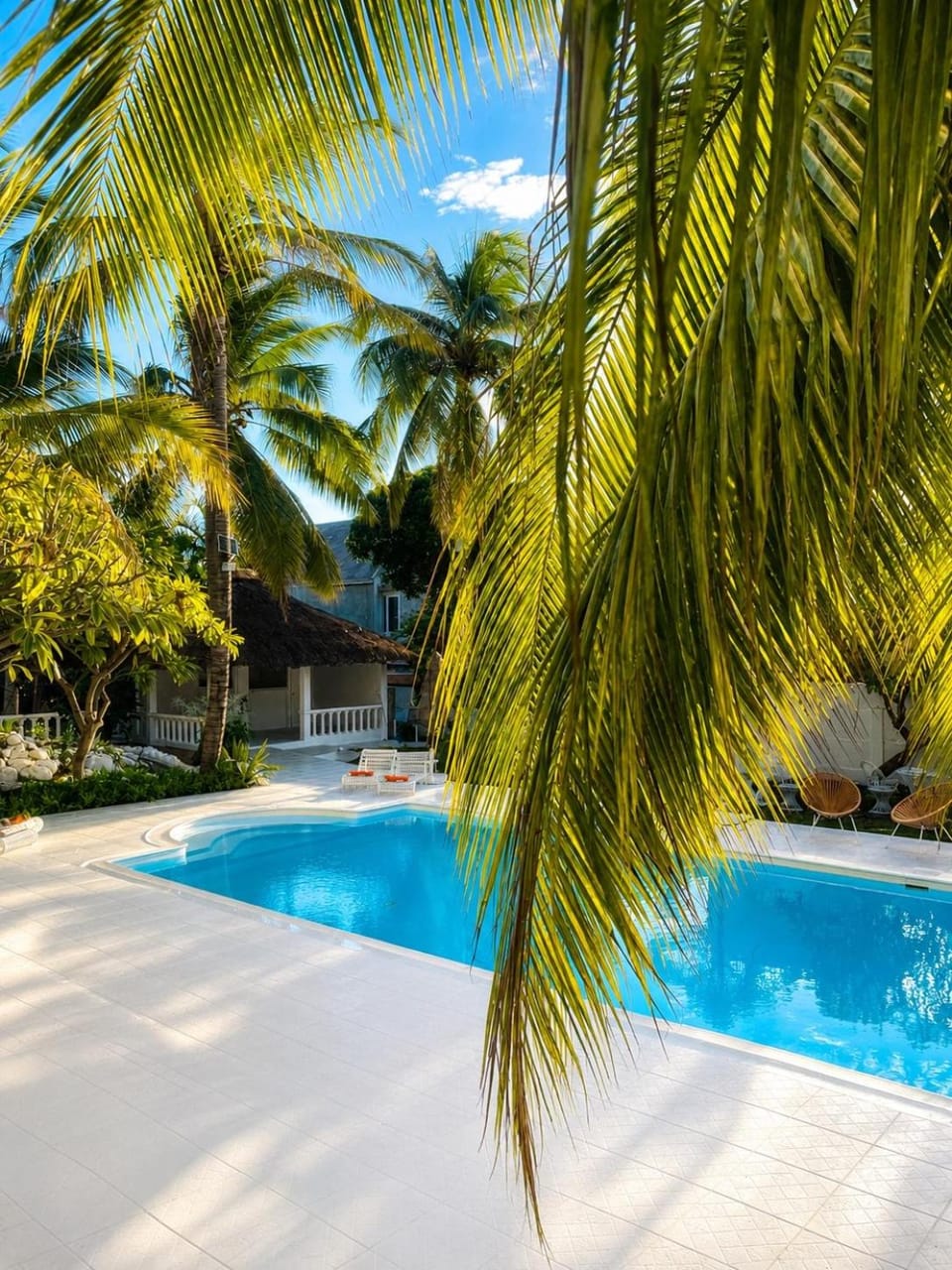 Day, Garden, Garden view, Pool view, Swimming pool, sunbed