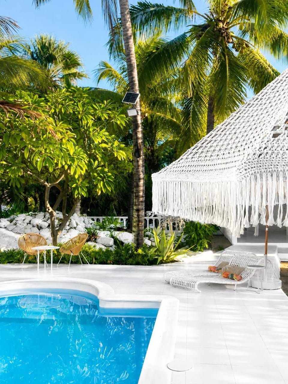 Patio, Spring, Day, Garden, Garden view, Pool view, Swimming pool, sunbed