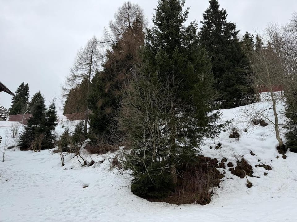 PORA 8 Appartamento sulle piste da sci - Box Apartment in Province of Brescia