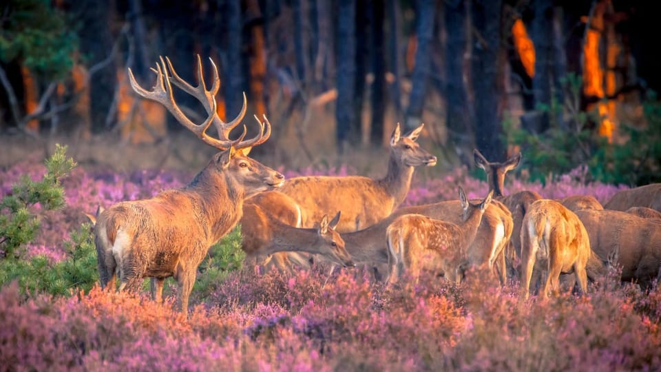 Natural landscape