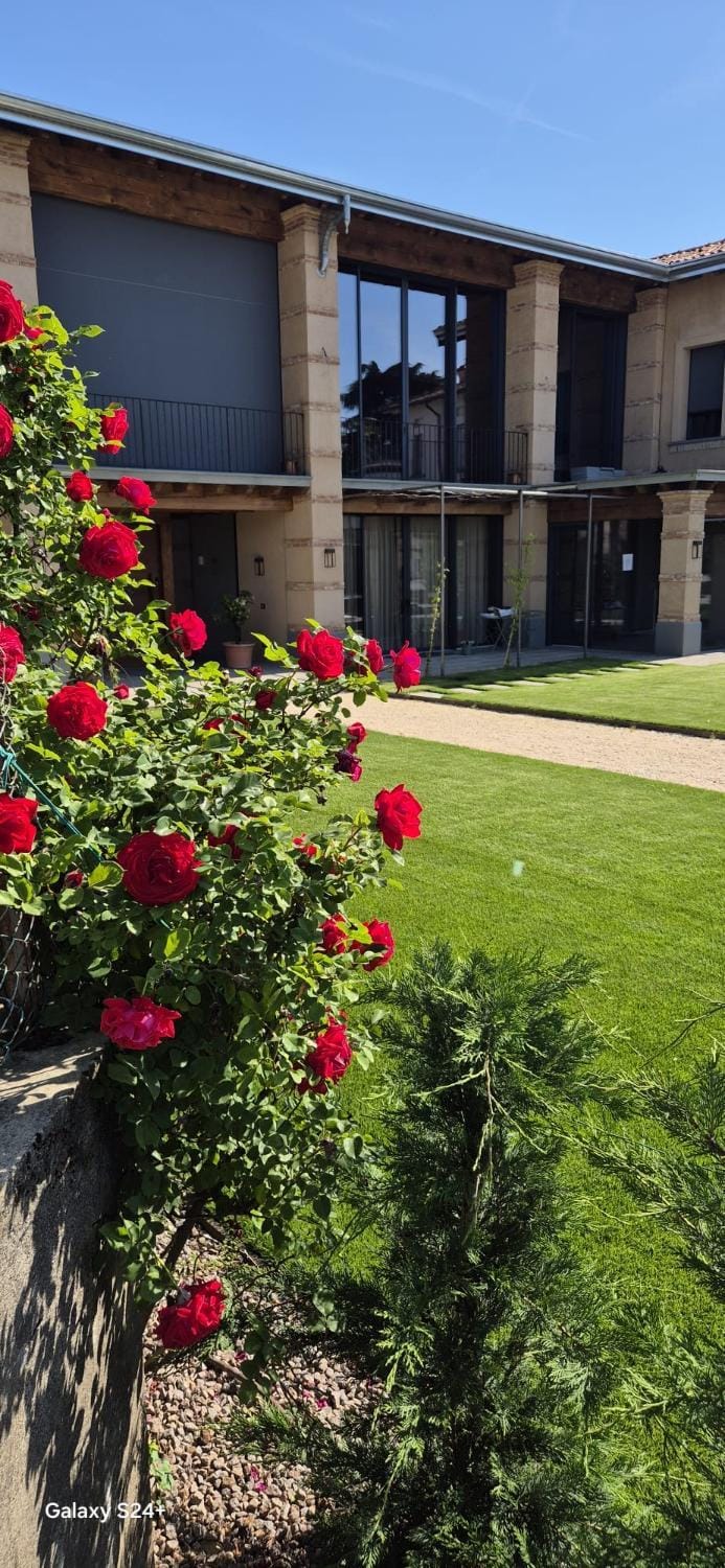 Property building, Garden view