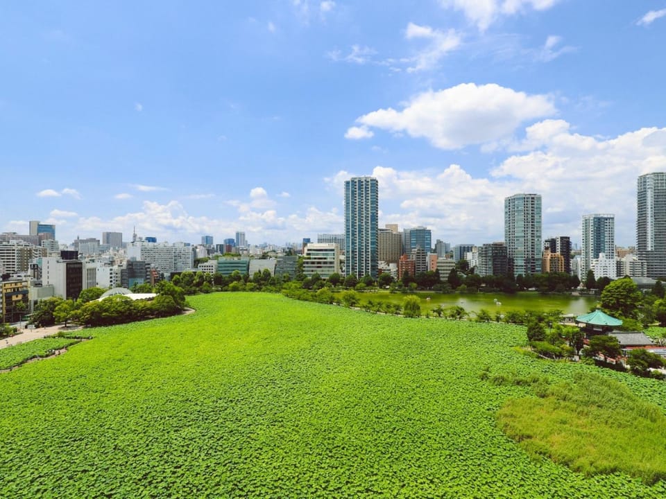 Property building, City view, Lake view