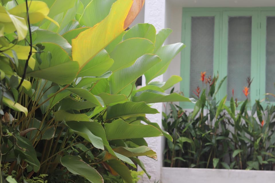 Calathea home varkala beach Villa in Varkala