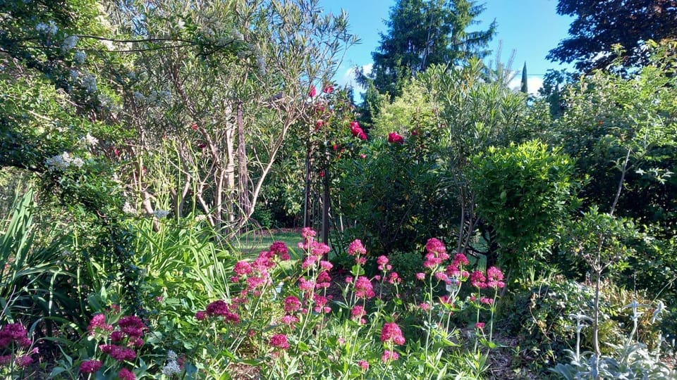 La Chouette, Piscine, Jardin , Parking, Wifi Apartment in Occitanie