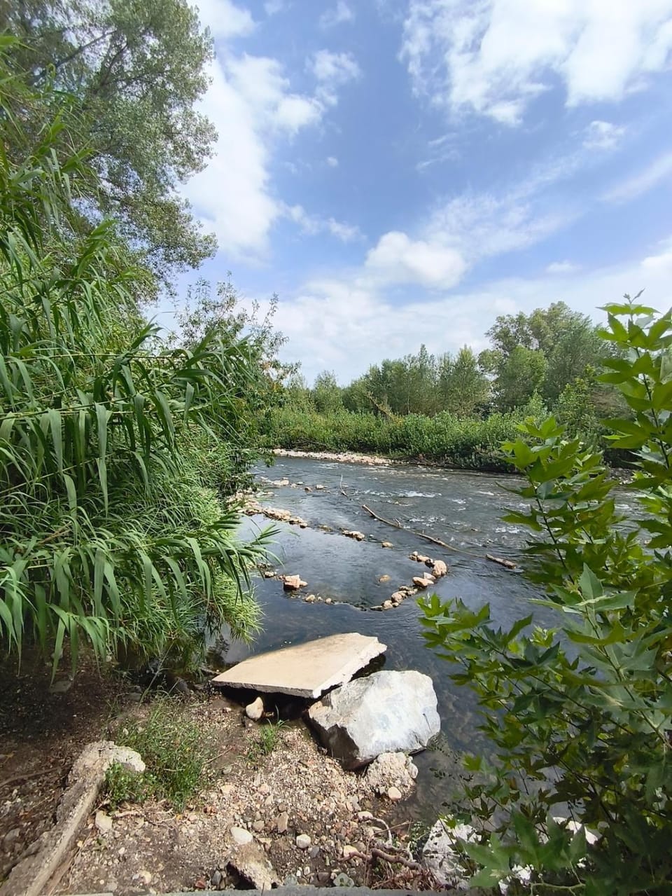 Natural landscape