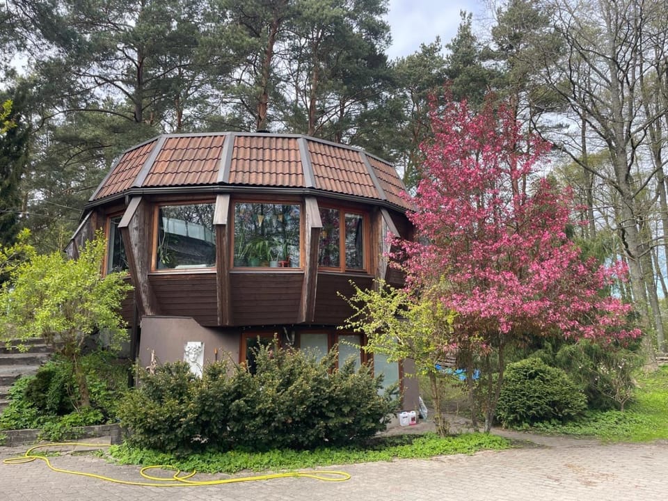 Property building, Day
