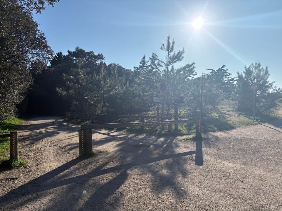 Natural landscape