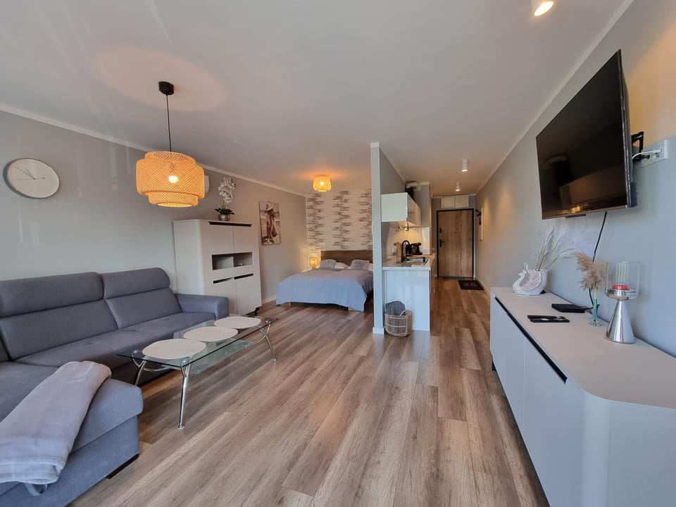 TV and multimedia, Kitchen or kitchenette, Living room, Seating area
