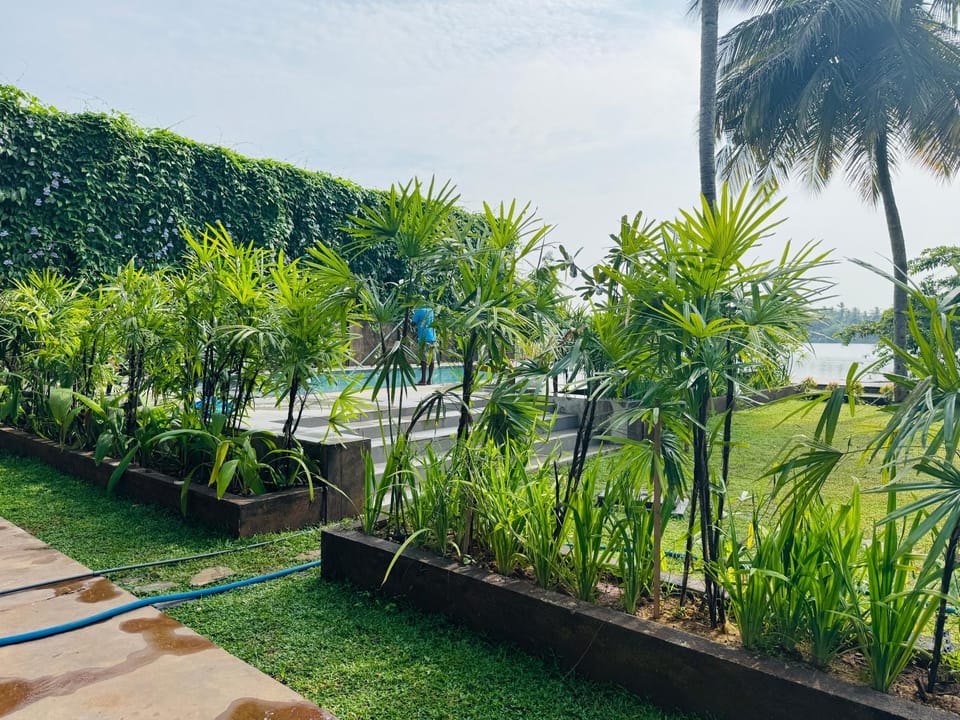 View (from property/room), View (from property/room), Pool view, Swimming pool