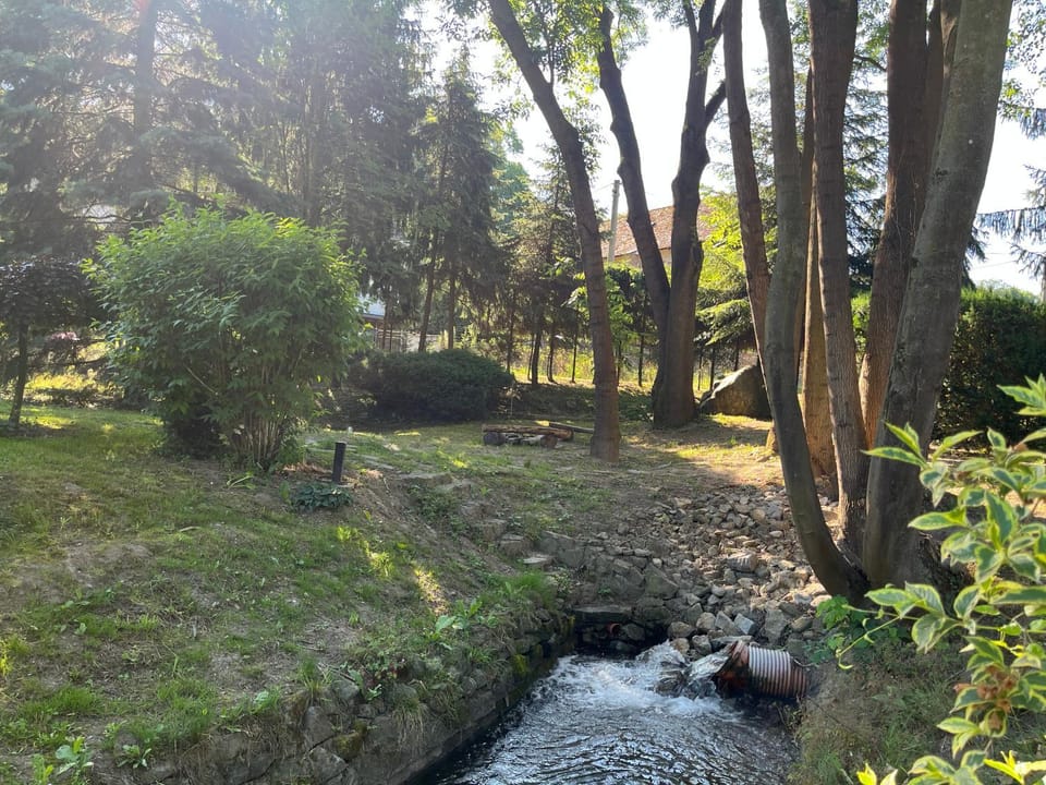 Natural landscape, Garden view