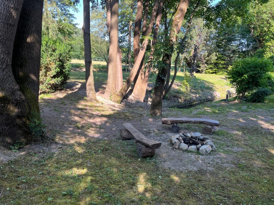Natural landscape, Garden