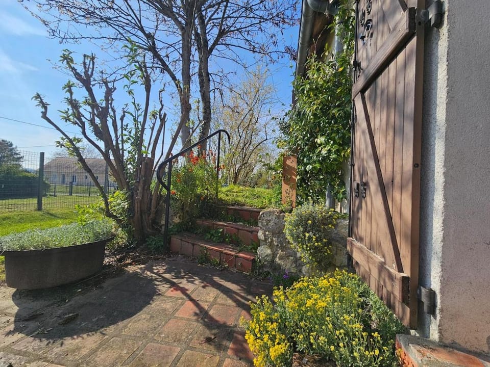 Spring, Garden