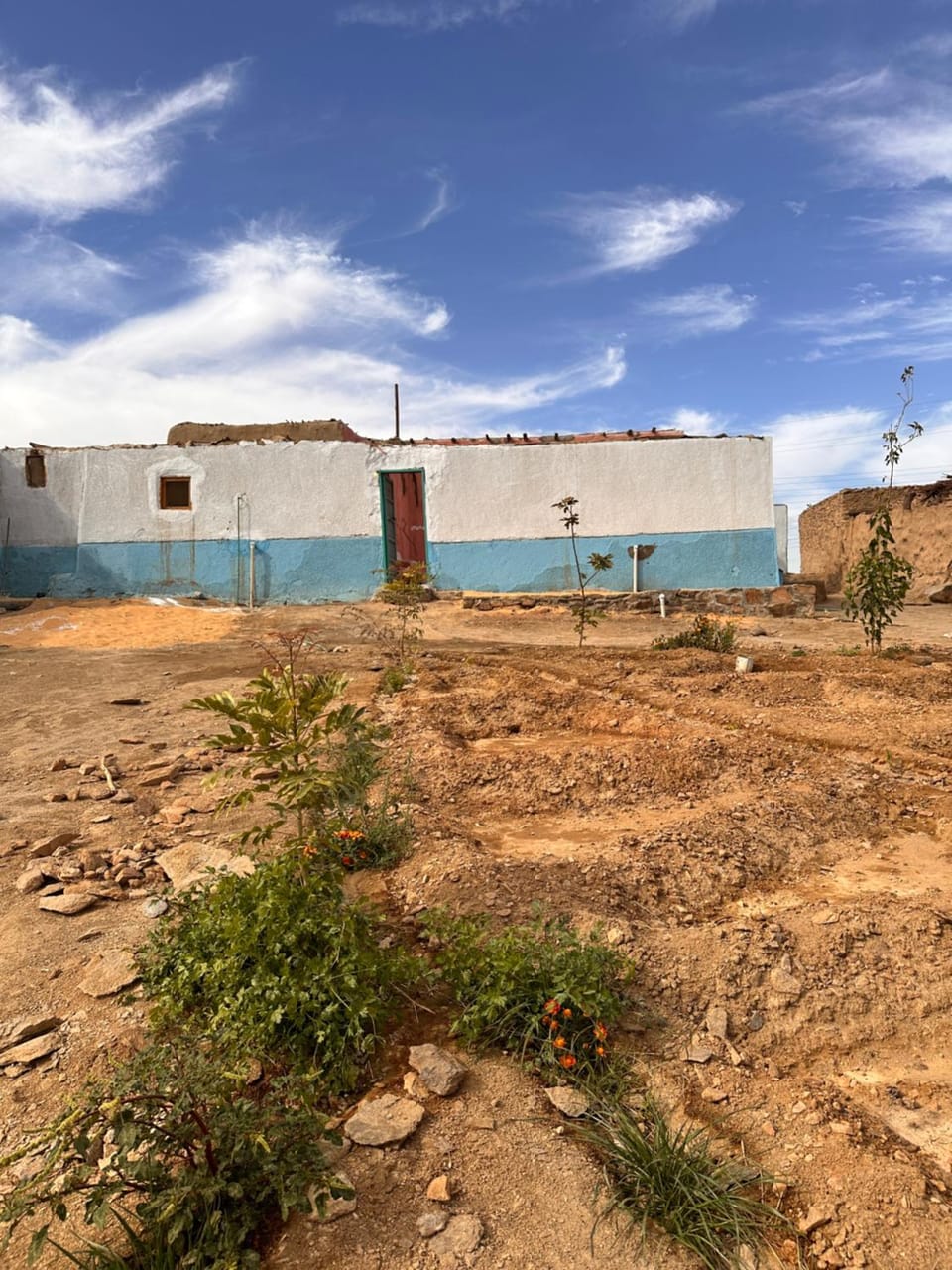 ITRW House - Nubian Homestay Vacation rental in Egypt