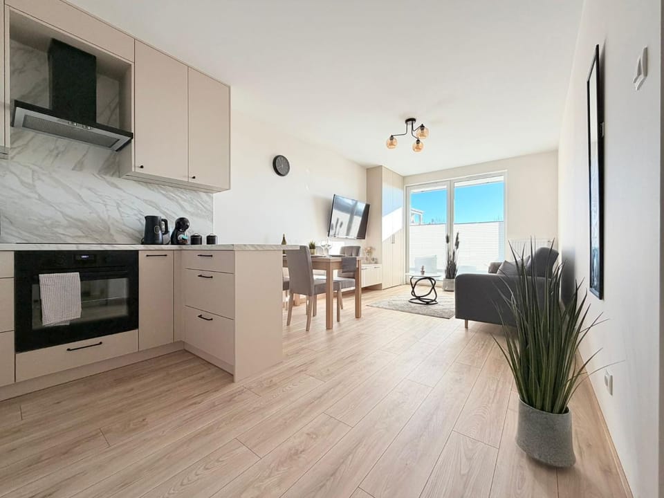 Living room, kitchen
