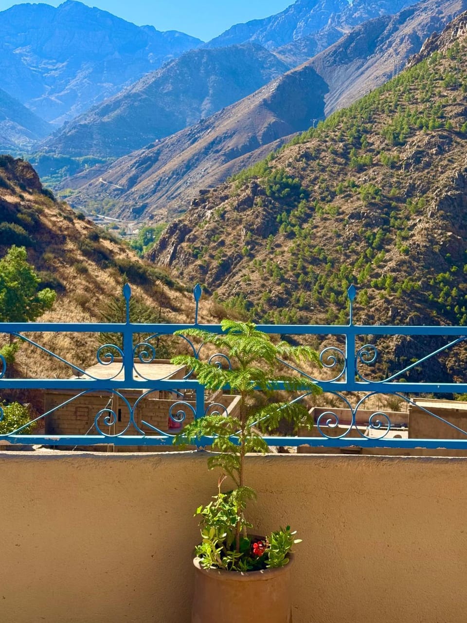 Spring, Day, Natural landscape, View (from property/room), Balcony/Terrace, Mountain view