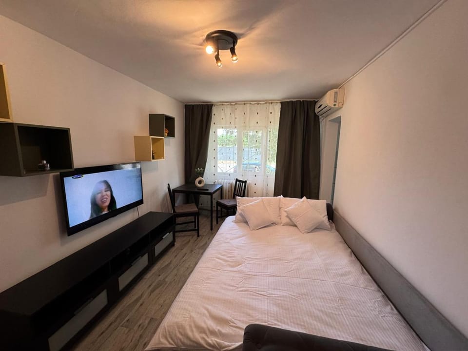 Clara's Studio Apartment in Timiș County