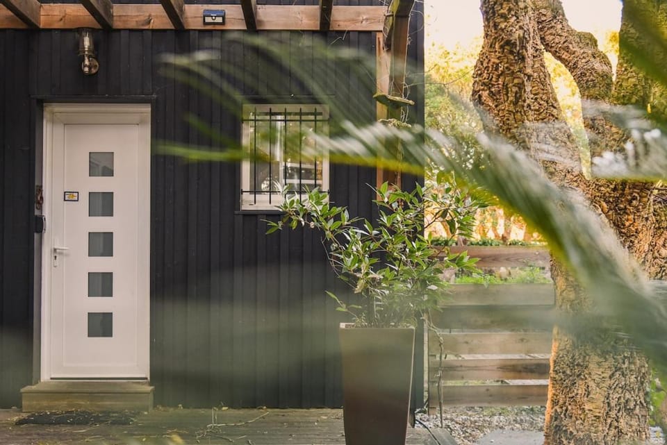 Maison Capucine House in Hossegor