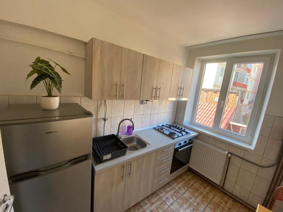 Anastasia Apartment in Romania