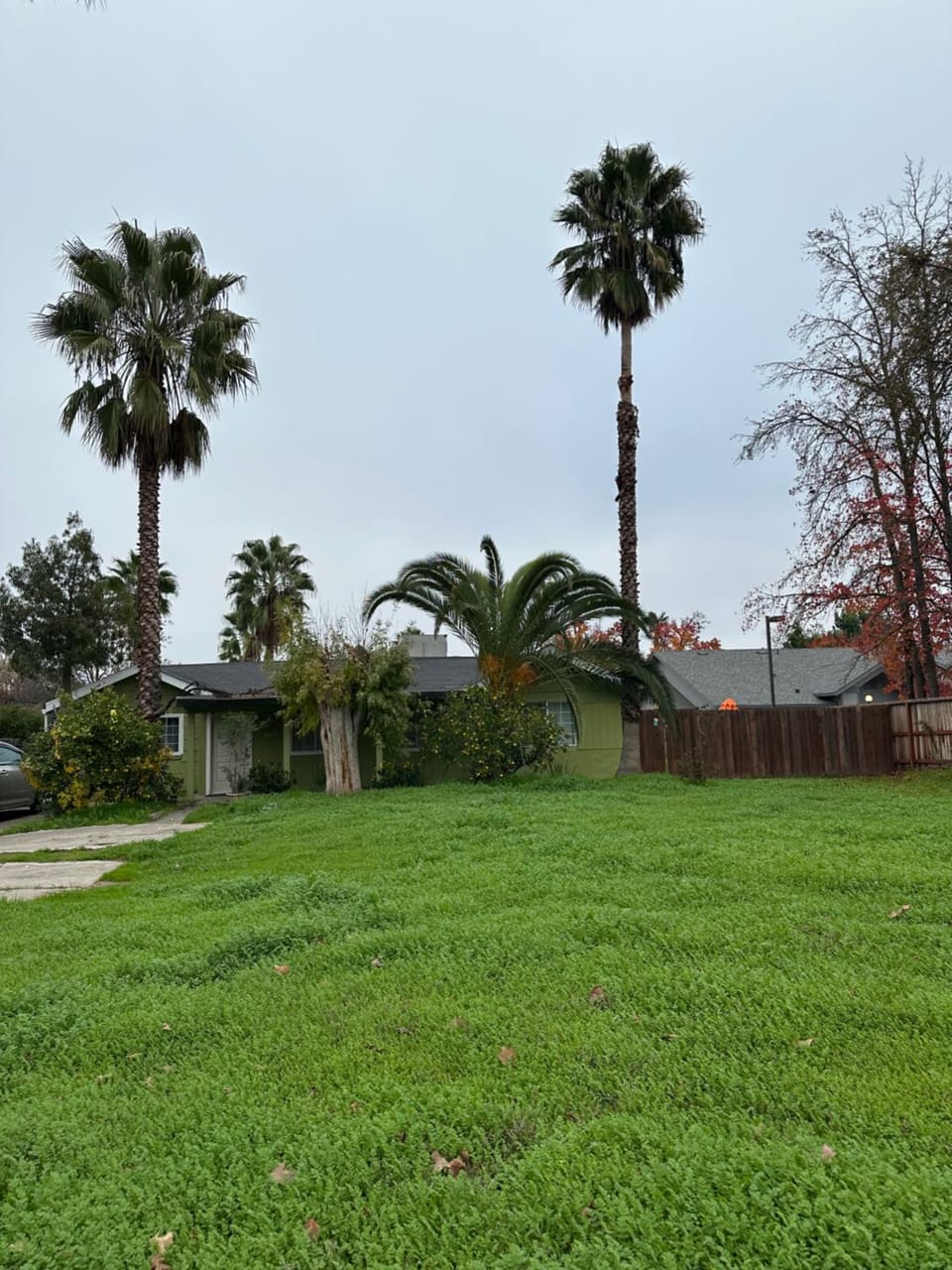 Suite A with a kitchen House in Arden-Arcade