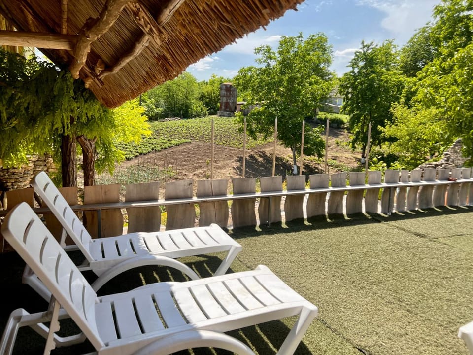 Hanul lui Hanganu Bed and Breakfast in Moldova