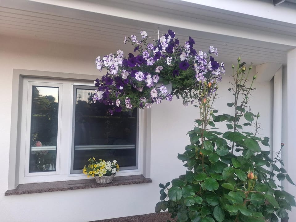 Zum Rosengarten Apartment in Altefähr