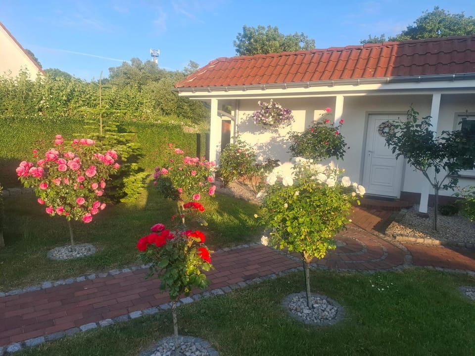 Zum Rosengarten Apartment in Altefähr
