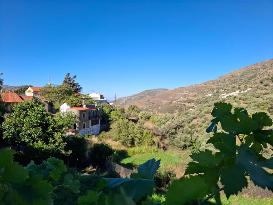 Mountain view