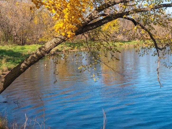 Natural landscape, River view
