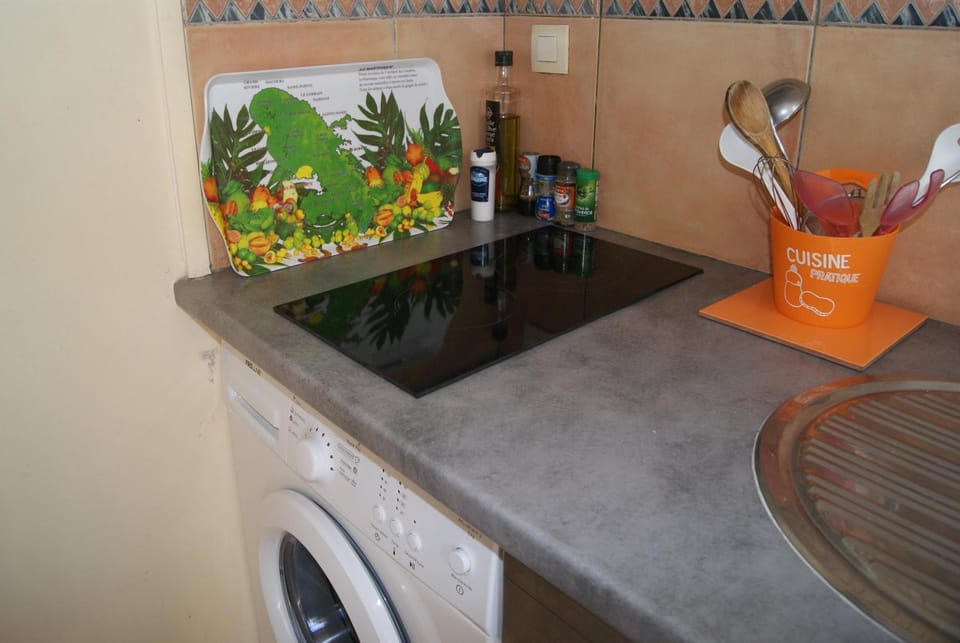L'hibiscus rose Apartment in Sainte-Anne