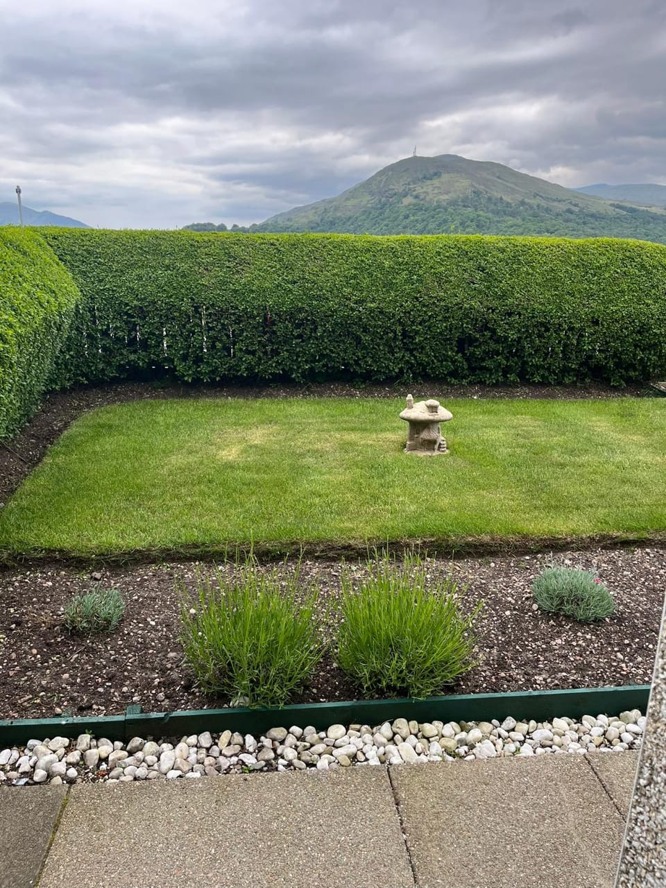 Garden view