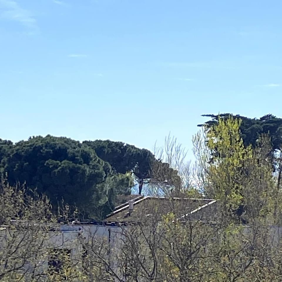 Joli T2 tout confort, piscine, superbe terrasse à 300m de la plage Apartment in La Grande-Motte