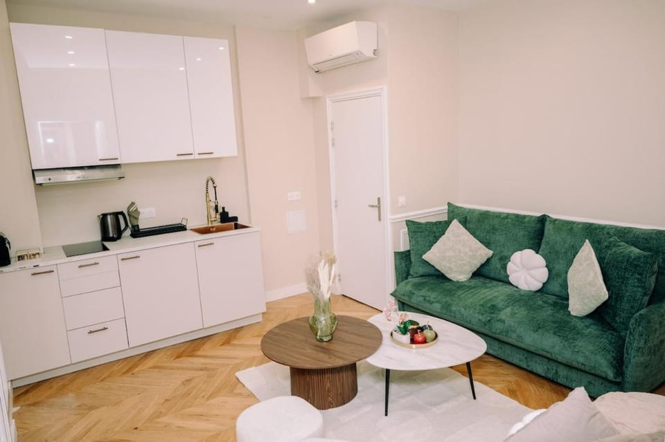 4P-1BR - Eiffel Tower View - Fully Renovated - A-C Apartment in Paris