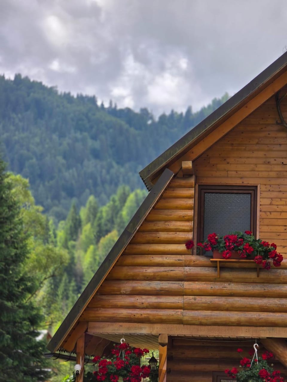 Old Chalet Apuseni Bed and Breakfast in Cluj County